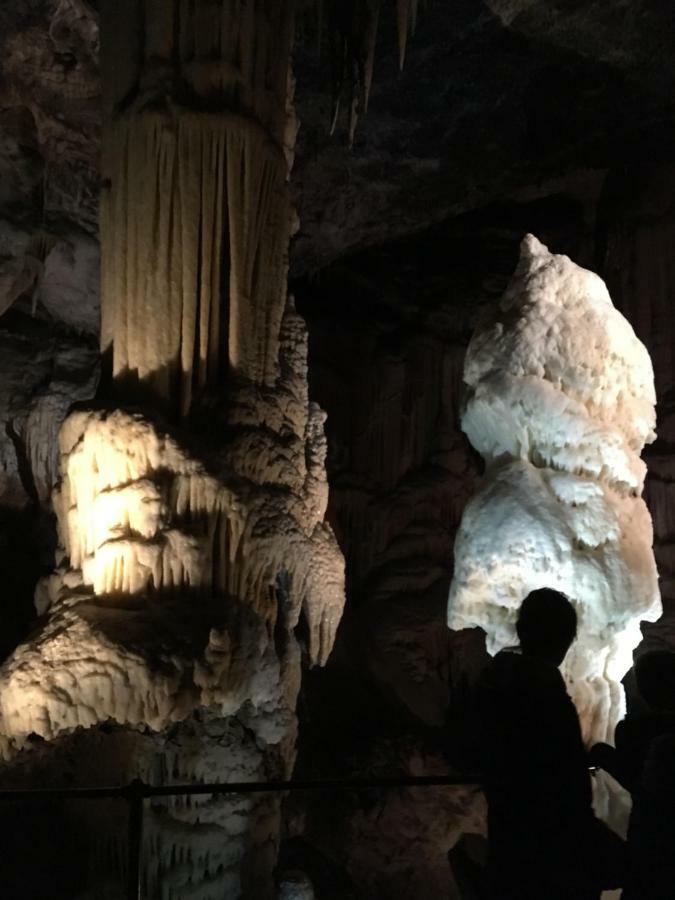 Eagle'S Nest Hostel بوستوينا المظهر الخارجي الصورة
