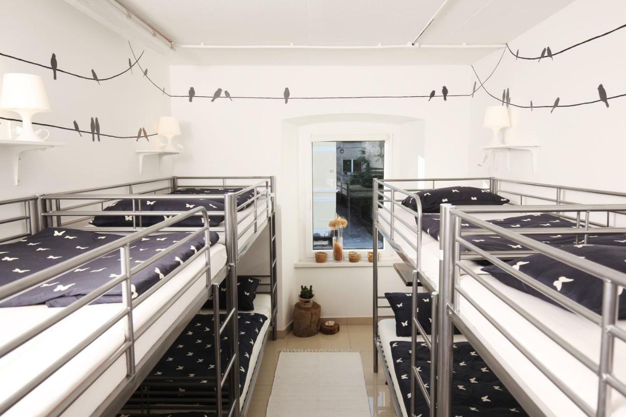 Eagle'S Nest Hostel بوستوينا المظهر الخارجي الصورة